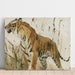 Reproduction of the painting Study of a tiger - Wilhelm Kuhnert