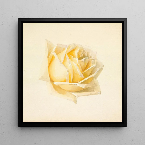Study of a Rose - Paul de Longpré — framed artwork on a wall