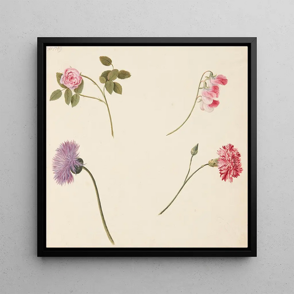 Flower Study - Johanna Fosie — framed artwork on a wall