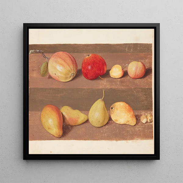 Study of Flowers and Fruits - Johanna Fosie — framed artwork on a wall