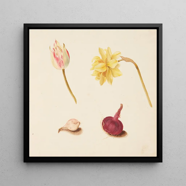 Reproduction of the painting Study of flowers and vegetables - Johanna Fosie