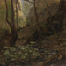 Forest Study - Hans Gude — artwork view