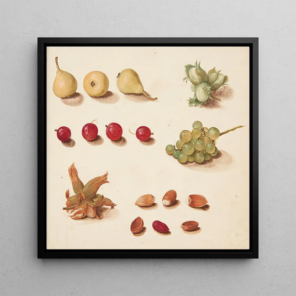 Study of Fruits, Br et Ndder - Johanna Fosie — framed artwork on a wall