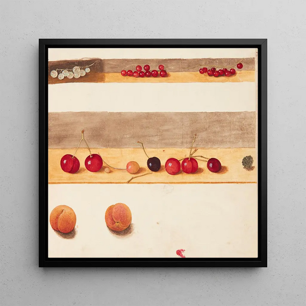 Study of Fruits and Flowers - Johanna Fosie — framed artwork on a wall