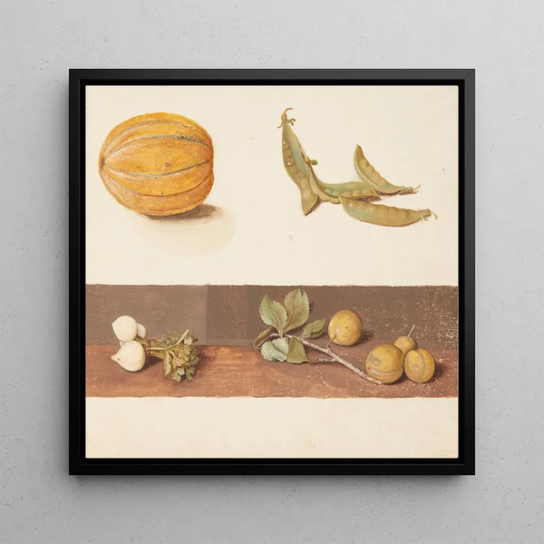 Study of fruits and vegetables - Johanna Fosie — framed artwork on a wall