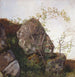 Study of Dogs' Roses and Ferns - Adolph Tidemand — artwork view