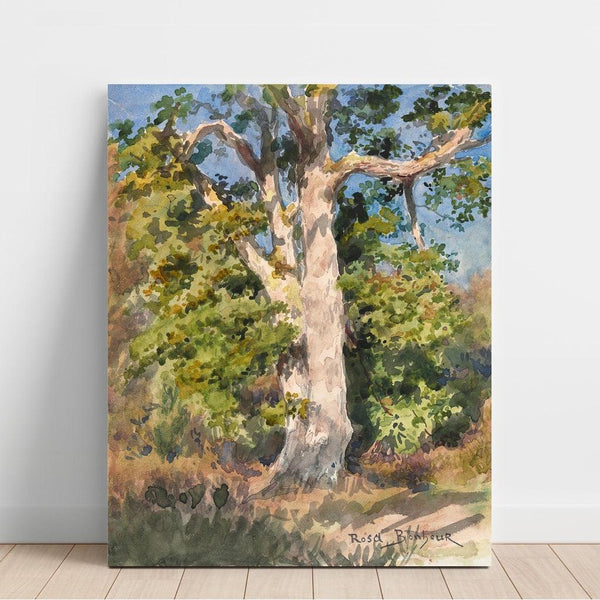 Reproduction of the painting Study of Trees - Rosa Bonheur