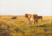 Bovins dans un pré d'été - Eugen Jettel — artwork view