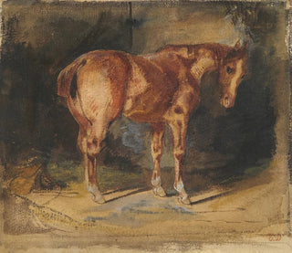 Study of a Horse - Eugène Delacroix — artwork view
