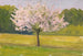 An Apple Tree in Bloom - Eugène Emmanuel Lemercier — artwork view