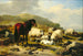 Landscape with Sheep - Eugène Joseph Verboeckhoven — artwork view