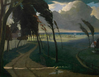Storm - Eugène Laermans — artwork view