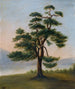 Cedar - F. Bindon Burton — artwork view