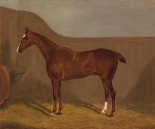 Portrait of horse painting - F. Clifton — artwork view