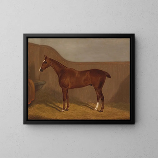 Portrait of horse painting - F. Clifton — framed artwork on a wall