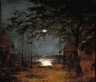 Port of the sea with boats in the moonlight - F M E Fabritius De Tengnagel — artwork view