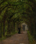 Promenade des feuilles - Fanny Edle von Geiger-Weishaupt — artwork view