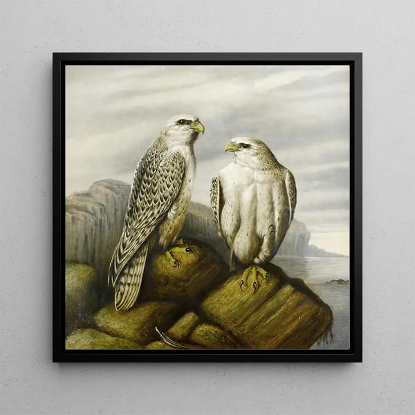 Peregrine Falcons on a rocky ledge - Joseph Wolf — wall display of the artwork