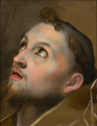 Study for the head of Saint Francis - Federico Barocci — artwork view