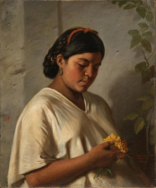 Indian Woman with a Concern - Felipe Santiago Gutiérrez — artwork view