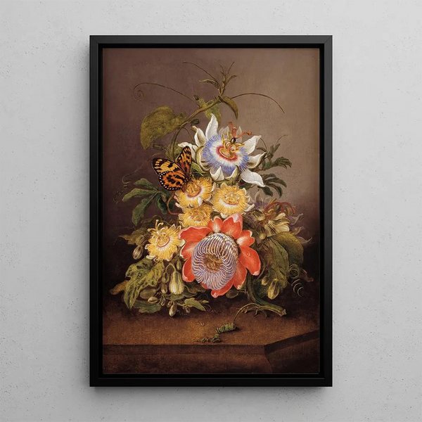 Passiflores - Ferdinand Bauer — framed artwork on a wall
