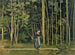 Promenade le long de la lisière d'un bois - Ferdinand Hodler — artwork view