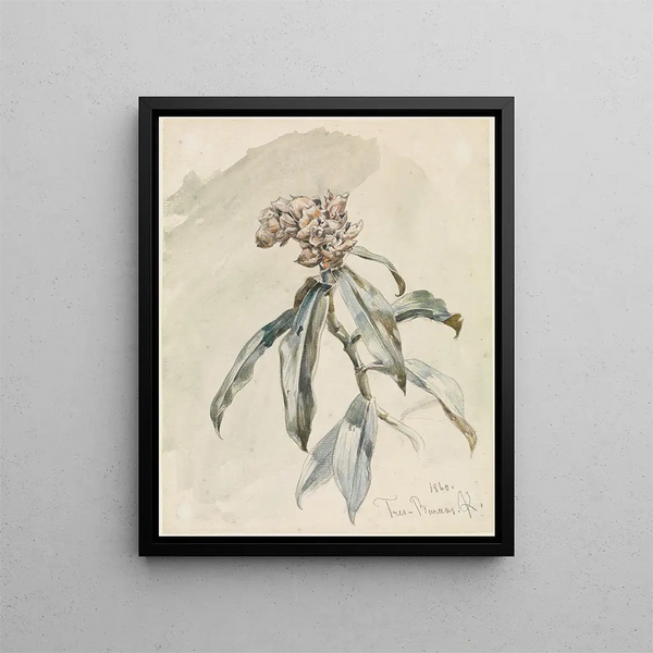 Study of Plants - Ferdinand Keller — framed artwork on a wall