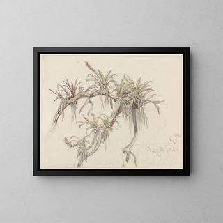 Parasite plants on tree trunks - Ferdinand Keller — framed artwork on a wall