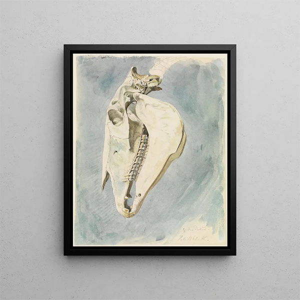 Study of an animal skull - Ferdinand Keller — framed artwork on a wall