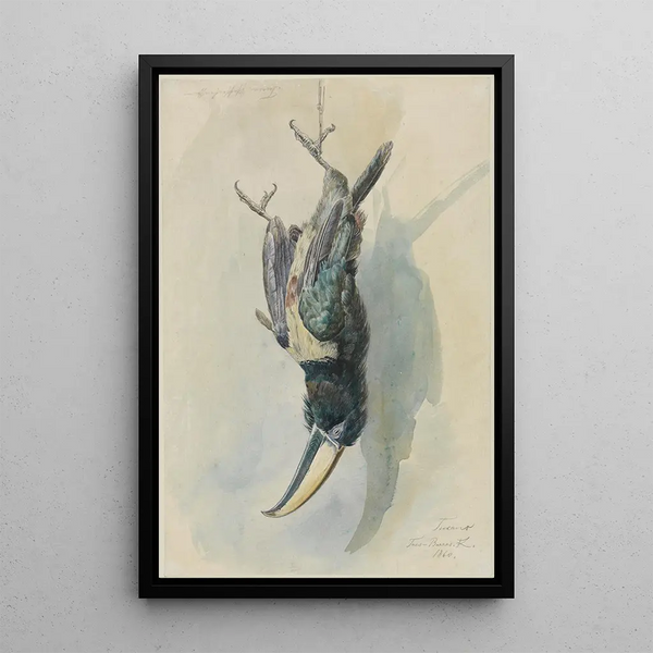 Study of a toucan Pfefferfresser - Ferdinand Keller — framed artwork on a wall