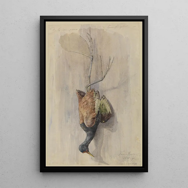 Study of a Bird of Prey - Ferdinand Keller — framed artwork on a wall