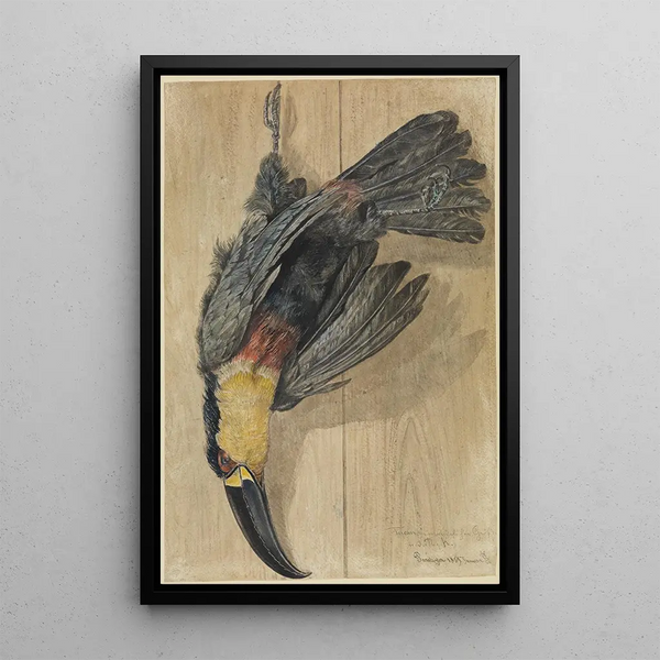 Study of a Dead Toucan - Ferdinand Keller — framed artwork on a wall