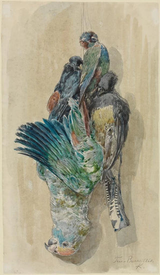 Ferdinand Keller - Studie erlegter Papageien und anderer Vgel.webp