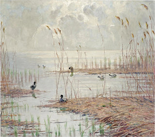 the Tollense Lake motif, Mecklenburg plateau - Ferdinand Schebek — artwork view