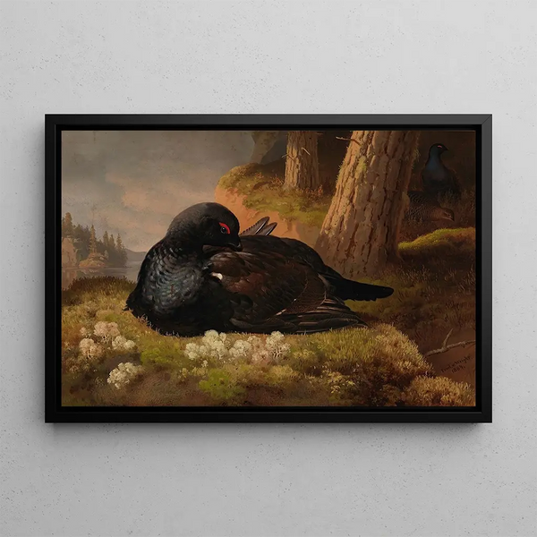 Grand Tétras - Ferdinand von Wright — framed artwork on a wall