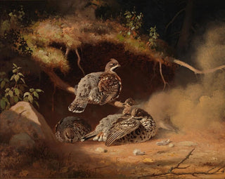 Gros-bec en train de se rouler dans le sable - Ferdinand von Wright — artwork view