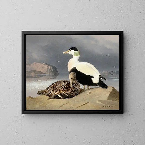 Two ducks - Ferdinand von Wright — framed artwork on a wall