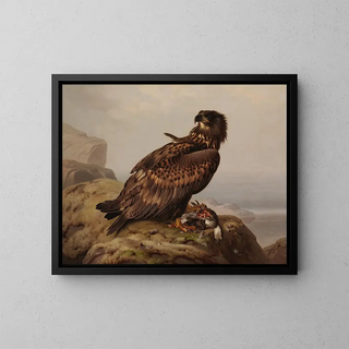 White-tailed eagle with its prey - Ferdinand von Wright — framed artwork on a wall