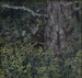 Foliage - Gustaf Fjstad — artwork view