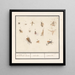 Leaf with thirteen flying insects, bloodless animals, insectae insects - Anselmus Botius de Boodt — framed artwork on a wall