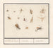 Leaf with thirteen flying insects, bloodless animals, insectae insects - Anselmus Botius de Boodt — artwork view