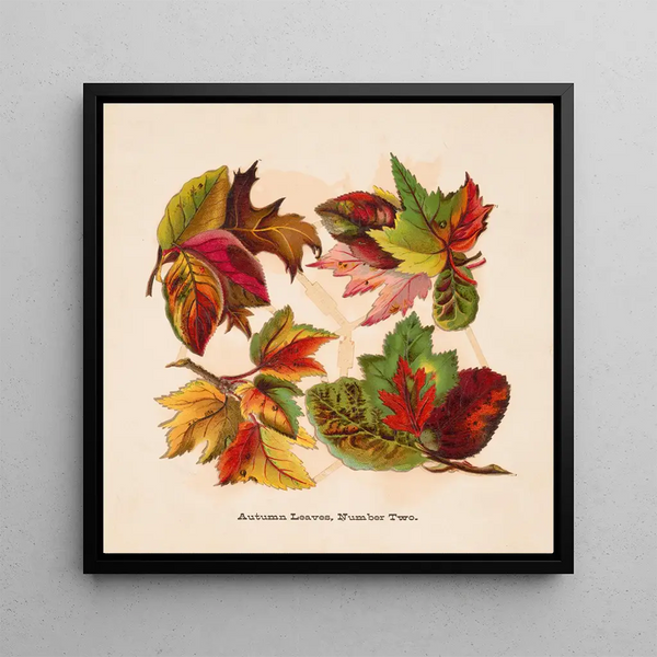 Feuilles d'automne numéro 2 - Louis Prang Co — framed artwork on a wall
