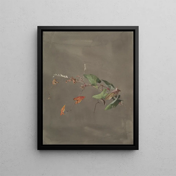 Liseron - Fidelia Bridges — framed artwork on a wall