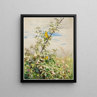 June - Fidelia Bridges — framed artwork on a wall