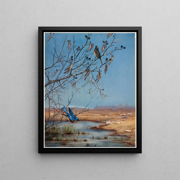 Mars - Fidelia Bridges — framed artwork on a wall