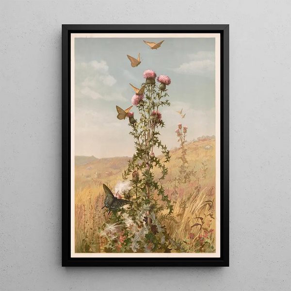 Chardon - Fidelia Bridges — framed artwork on a wall