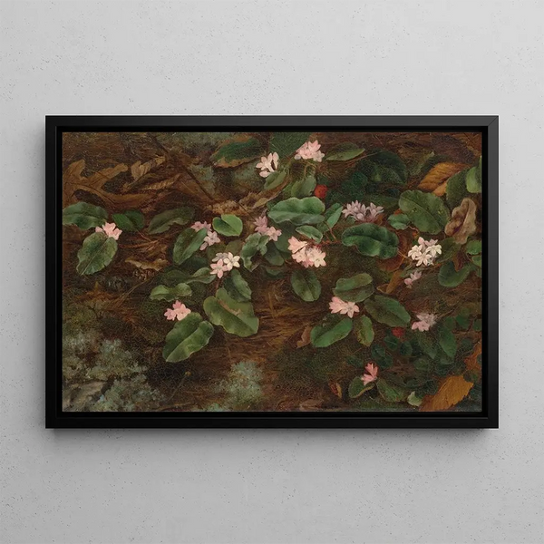 Arbousier traînant - Fidelia Bridges — framed artwork on a wall