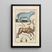 Natural History of Quadrupeds Pl03 - Filippo Buonanni — framed artwork on a wall