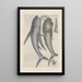 Histoire naturelle des quadrupèdes Pl38 - Filippo Buonanni — framed artwork on a wall