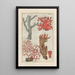 Natural History of Quadrupeds Pl42 - Filippo Buonanni — framed artwork on a wall